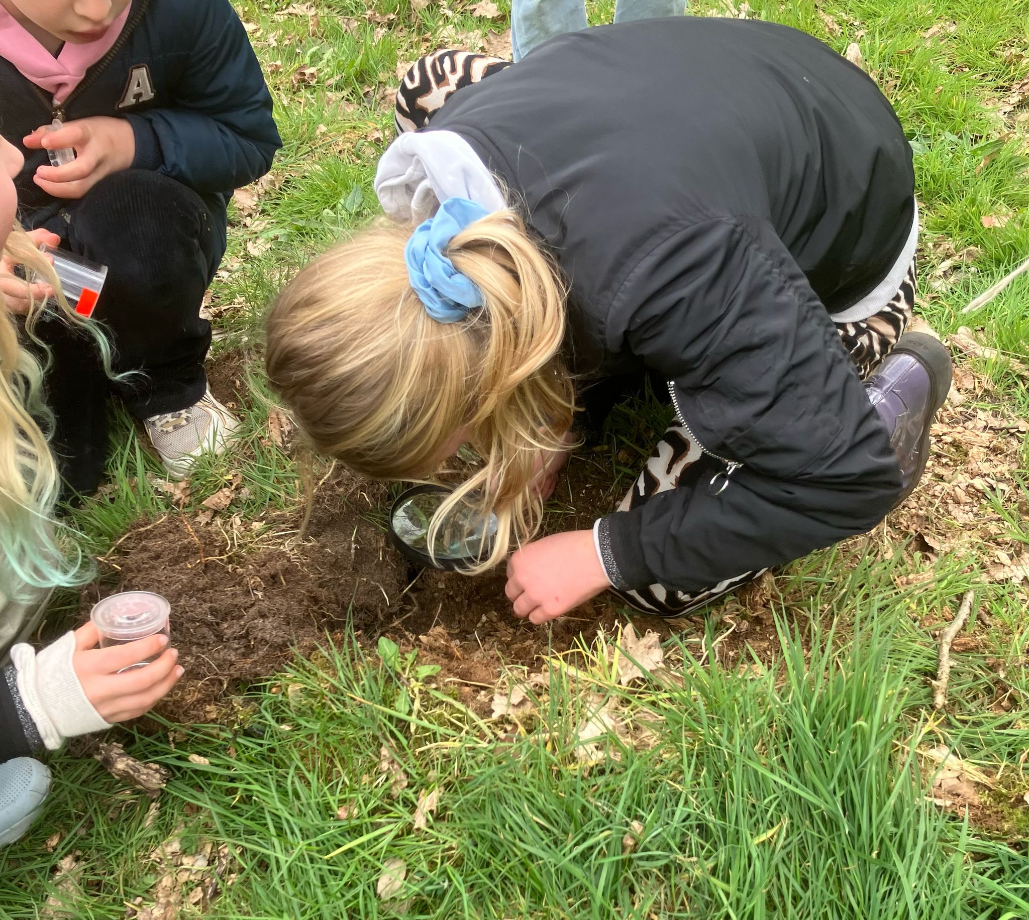 Voorjaar: Bloemetjes, diertjes en...