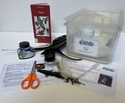 Experimenteerdoosjes Natuur