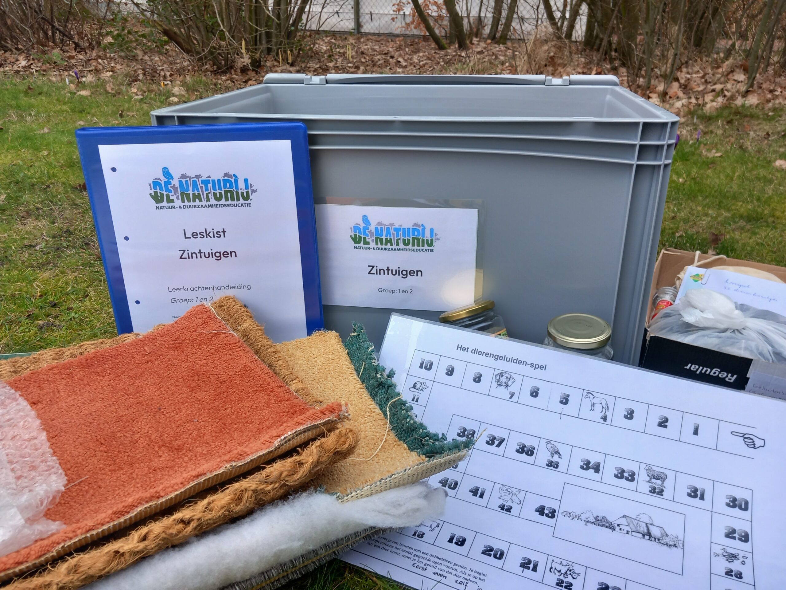 Zintuigen