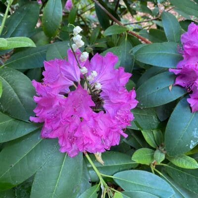 Voorjaar: Avontuur in de natuur